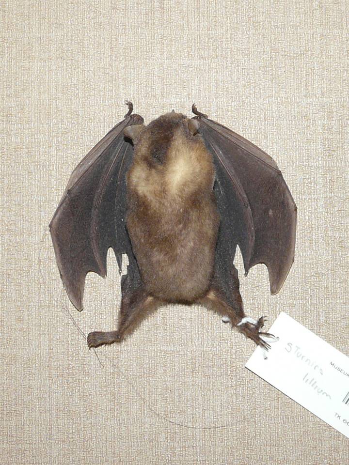 FIGURE 9 FIGURE 9